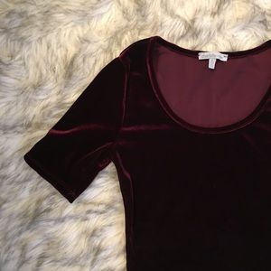 Charlotte Russe Tops - Velvet crop top Charlotte Russe Tops - Velvet crop top